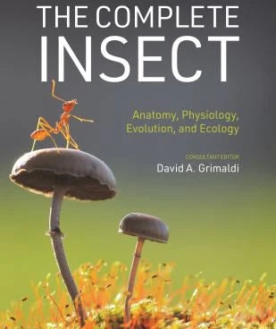 The Complete Insect